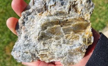 Spodumene crystals observed by Ragnar in boulders at the Orrvik prospect