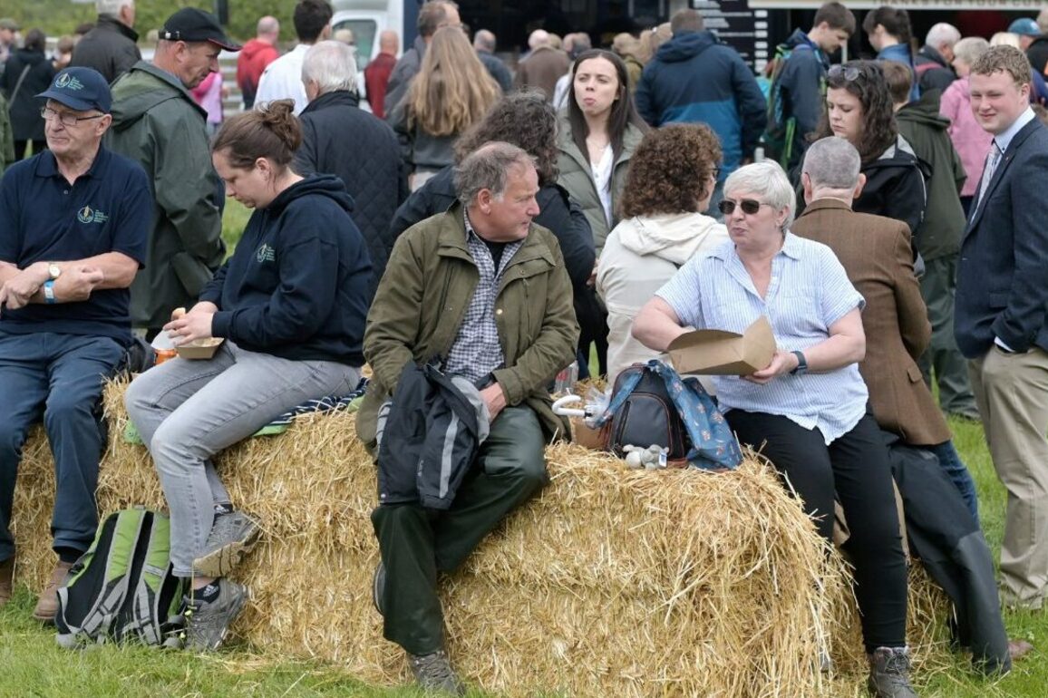 31 best pictures from NSA Highland Sheep day at Ardgay
