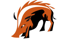 Ulan win flags more concerns