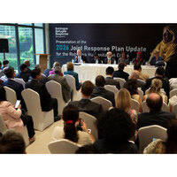 UN, partners appeal for USD 710.5 million to meet critical needs of Rohingya refugees
