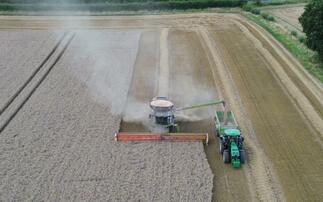 2024 yields were down across all crops