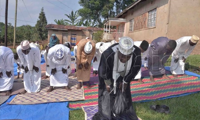 VIDEO: How muslims celebrated a scientific Eid Al Adha in Uganda VIDEO: How muslims celebrated a scientific Eid Al Adha in Uganda