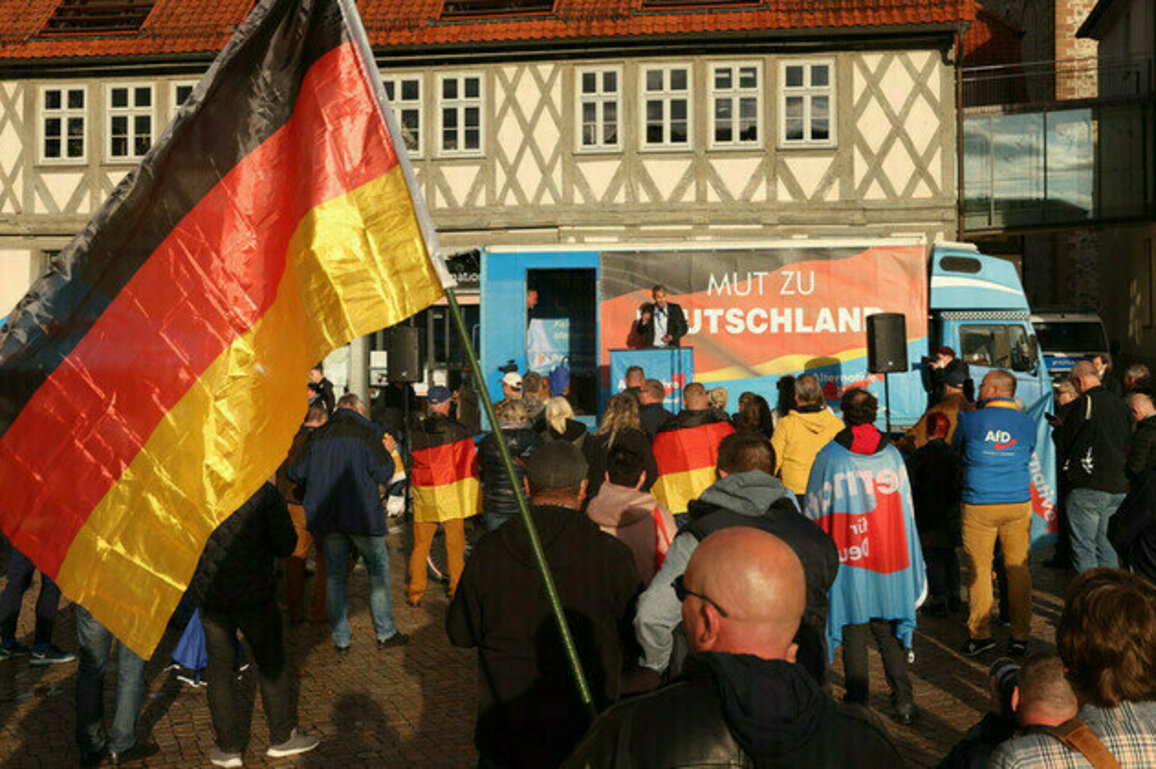 German spies grant AfD reprieve