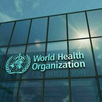 Humanitarian situation in Gaza 'catastrophic', says WHO