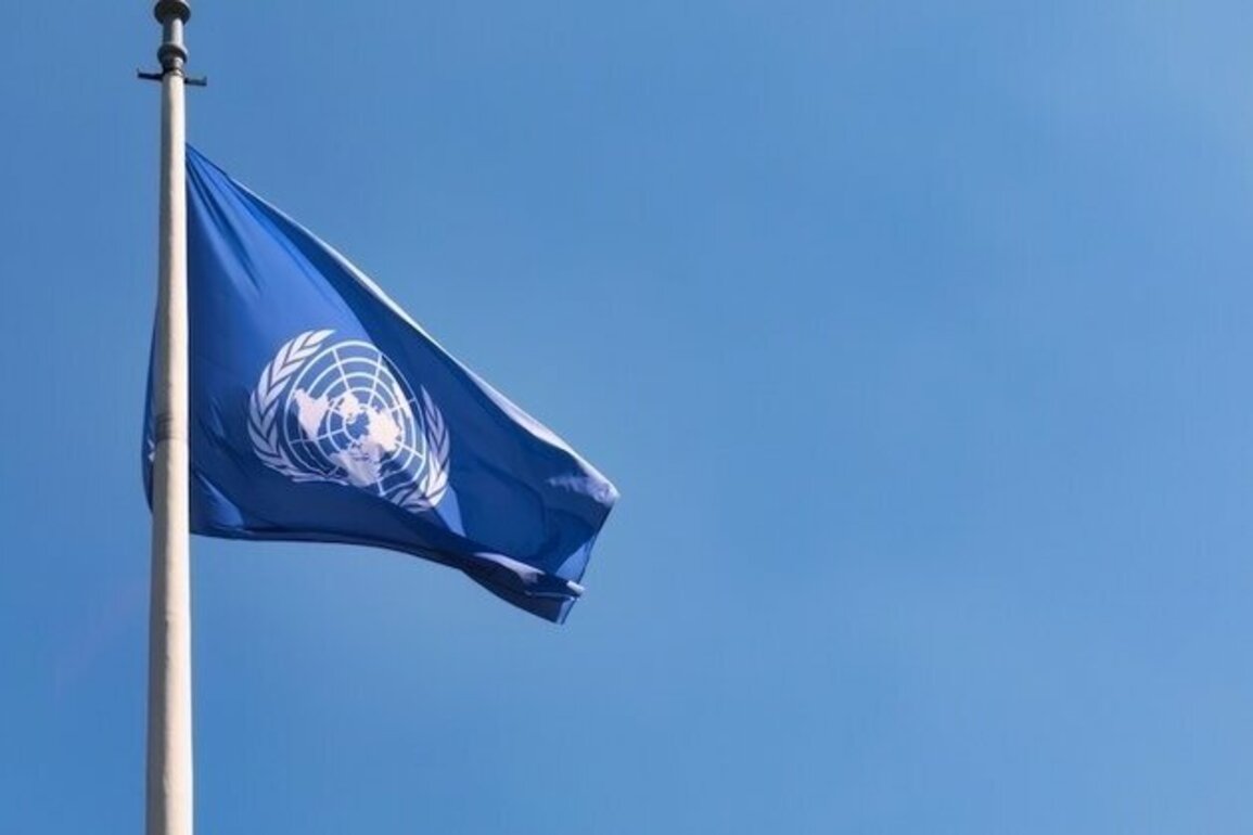 Opinion  The Performance of UN Transitional Authorities