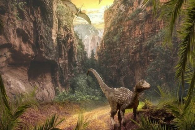 Researchers reveals how 'bird-hipped' dinosaurs evolve