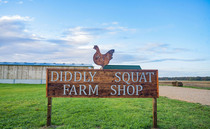 Diddly Squat Farm partners with Ocado, delivering British produce straight to customers' doors  