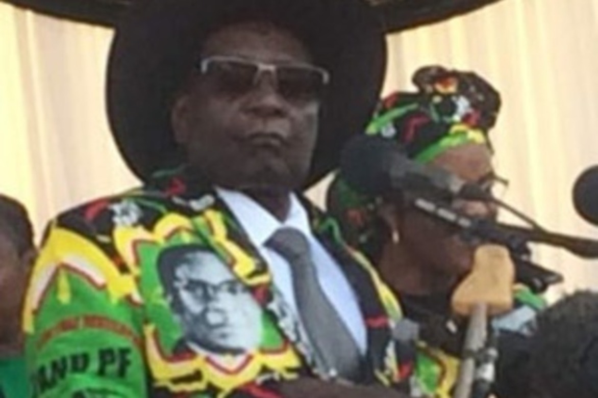 Mugabe and Despicable Me: Porn, pirated movies posted on Zanu-PF website