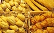 World-class bread only a gene away for Australian farmers