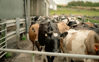 Partner Insight: Winter slurry planning can deliver year-round gains for farms 