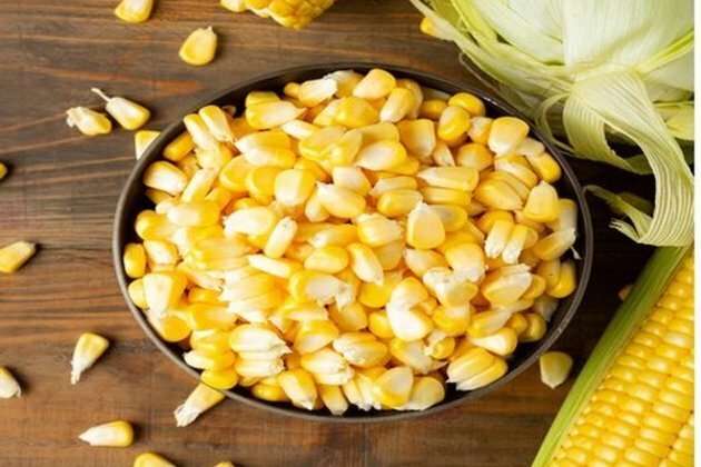 SnacAtac introduces Cornado