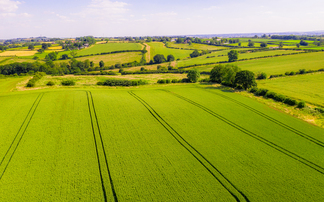 Total farm income profitability decreases by more than £1 billion