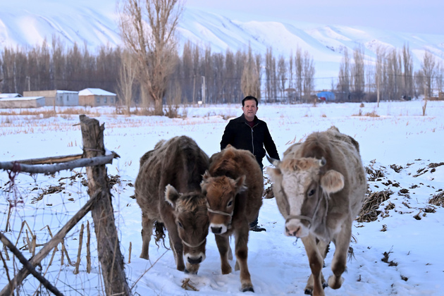 ChineseToday | NPC deputy dedicated to rural revitalization
