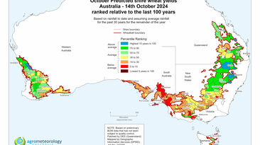 Yields drop across most of the wheatbelt