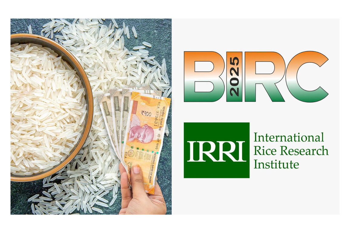 IREF expects Rs 1.17 lakh crore export boost for India as IRRI joins BIRC 2025 to open new global rice markets