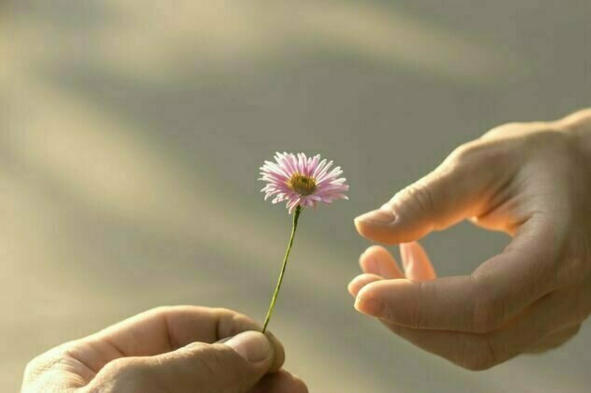 From flowers to stalking: how 'nice guy' narratives can lead to male entitlement and violence against women