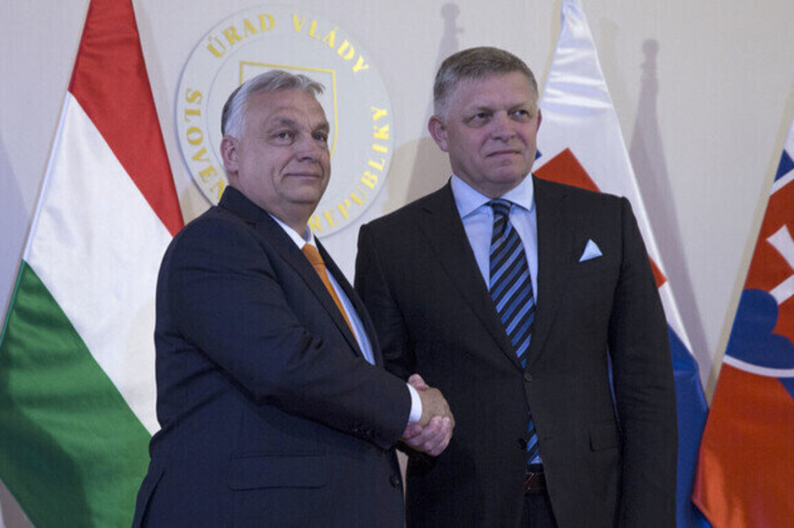 EU nations order joint probe into Russian oil pipeline halt