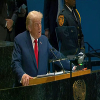 "We have to stop the war in Gaza immediately": Trump at UNGA