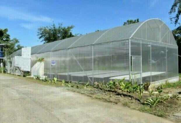 11 smart greenhouses up in DA research center in W. Visayas