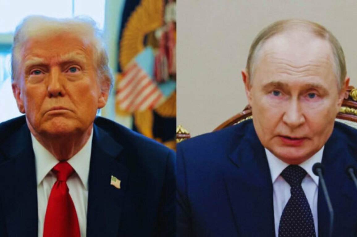 Trump Plans Economic Offer to Putin in Bid to End Ukraine War