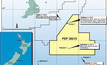 Magellan may chalk up early offshore NZ well