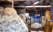 Study unravels wool pricing