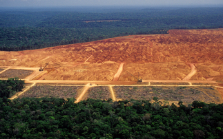 Deforestation in the Amazon and other tropical forests fuels the climate and biodiversity crises | Credit: iStock