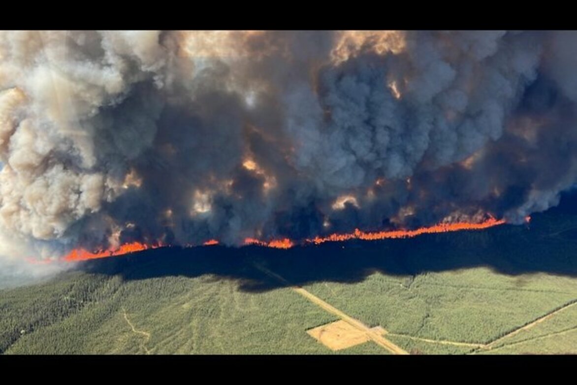 Scientists urge actions to reduce global forest fire carbon emissions