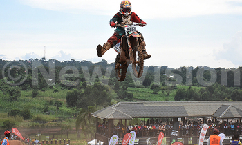 Mx paddy blick 2 350x210