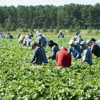 Canada's new immigration policy favours construction workers but leaves the rest behind