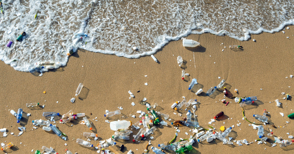 'Deplastify': European food giants accused of failing to make progress in tackling plastic pollution - Vimarsana News