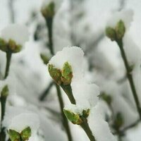 'A winter always coming': Kevin Brophy's affecting poems mine loss, luck and acceptance