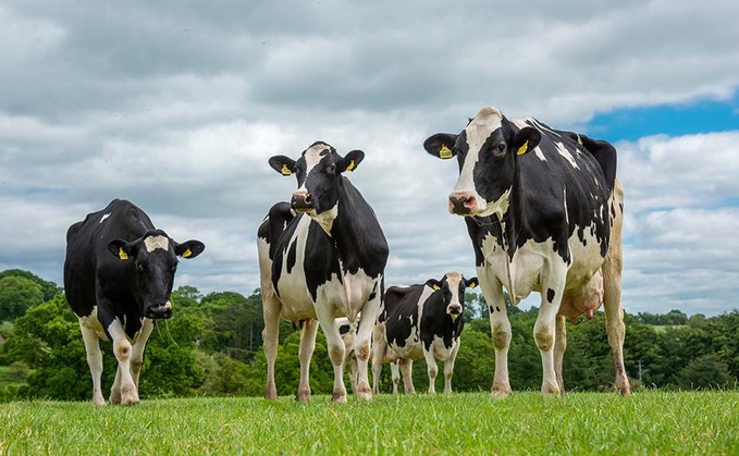Barber's issues warning on milk from imported cattle as it raises November milk price