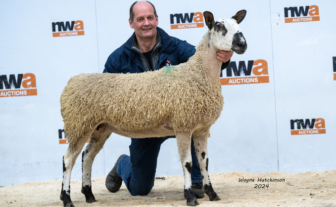 Carry House gimmer which sold for 5,000gns