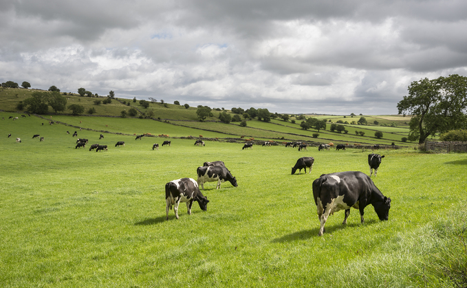 Good grassland management can help improve animal productivity and reduce input costs.