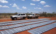 Magnetite in drill core trays at the Mount Peake project