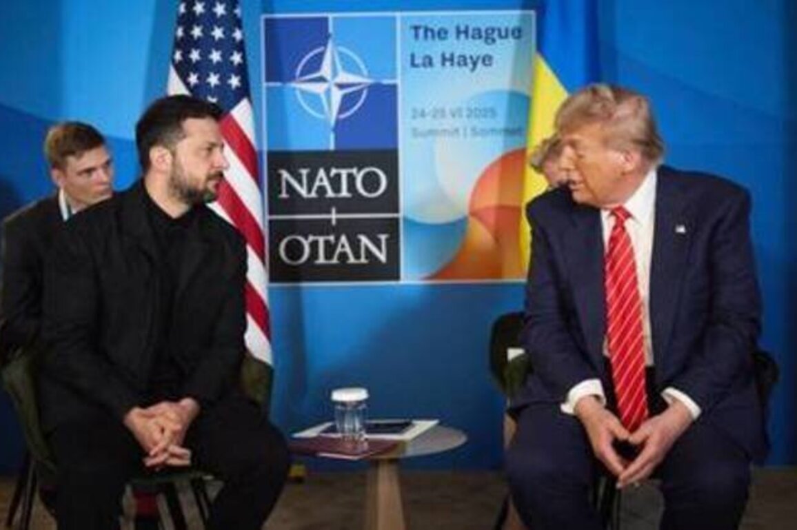 Zelensky on US presidents and NATO chances: 'Some live, some die'