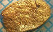 A gold nugget from the Comet Well area on a 1mm x 1mm grid