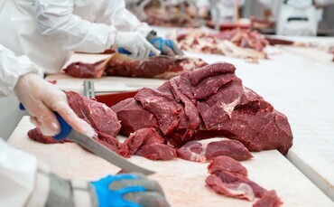 Fears more than 80 jobs could be lost at Welsh meat processing plant