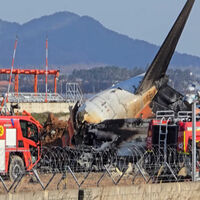 Jeju Air crash probe points to engine shutdown error after bird strike