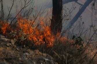 Nepal sticks to traditional measures to control forest fire as threat looms high