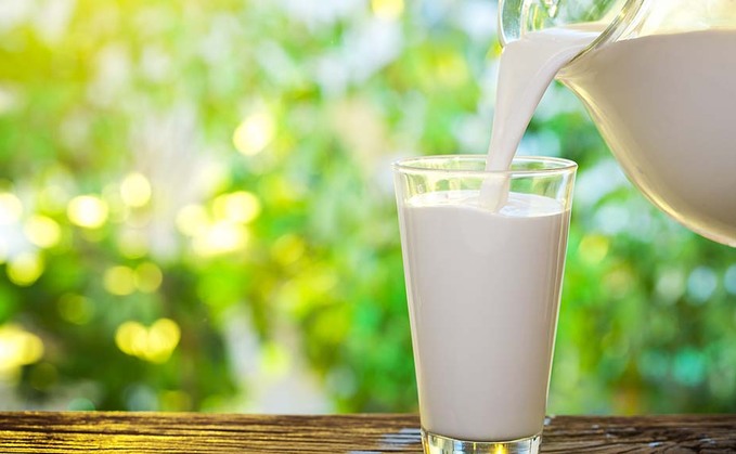 Industry push to highlight role of dairy in sustainable diets