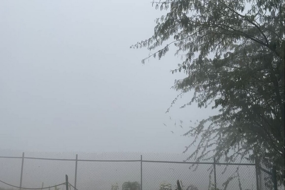 Thick smog blankets several UP cities; Taj Mahal vanishes under dense fog in Agra