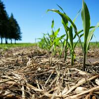 Brown- Mental illness threatens the harvest in rural Minnesota, but hope grows