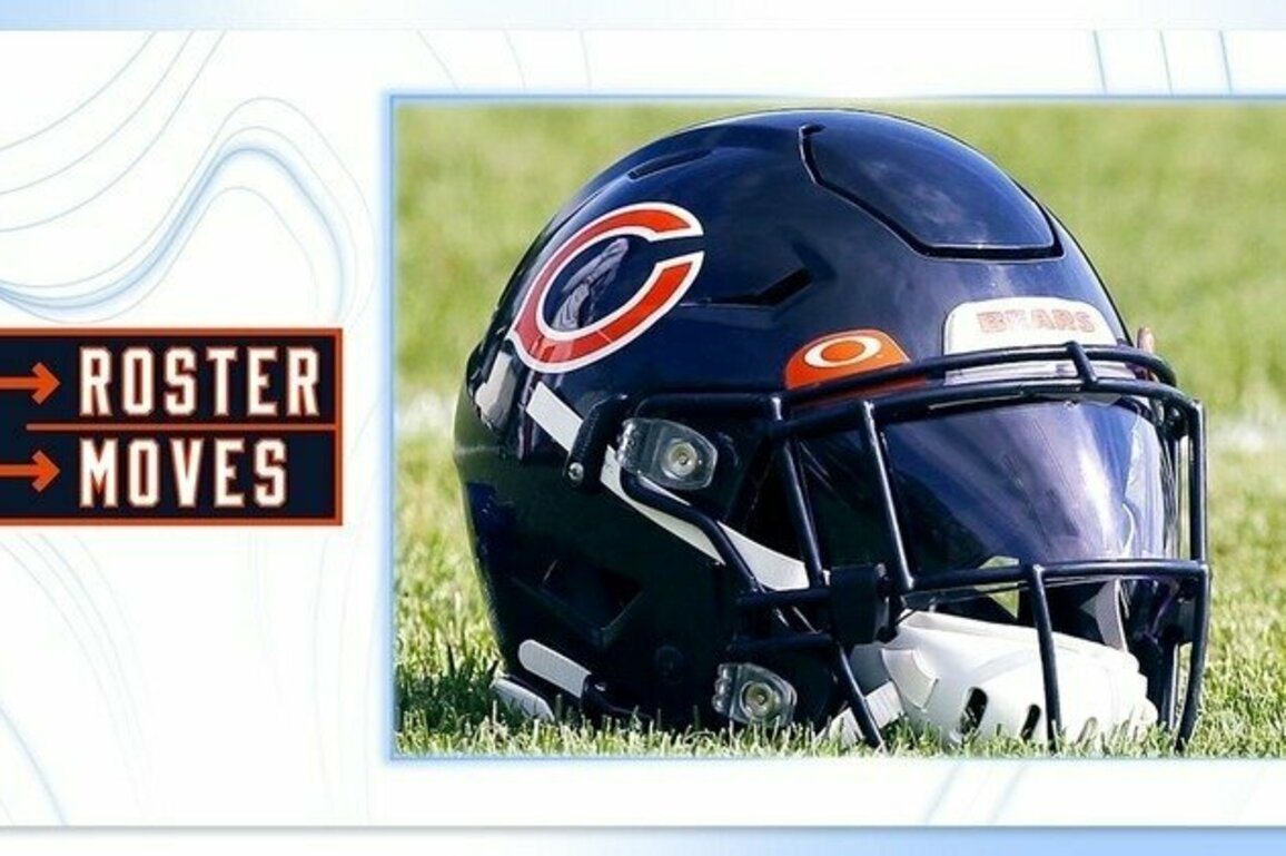 Bears announce roster moves