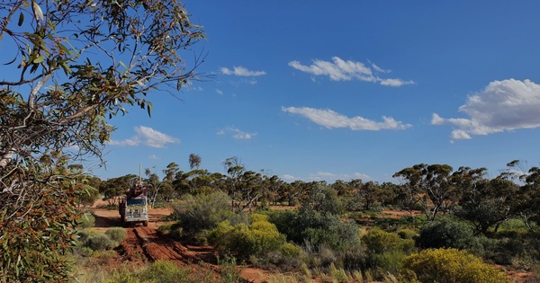 Barton releases killer numbers for Tunkillia