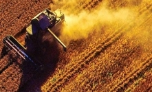 Satellite technology gives farmers the edge