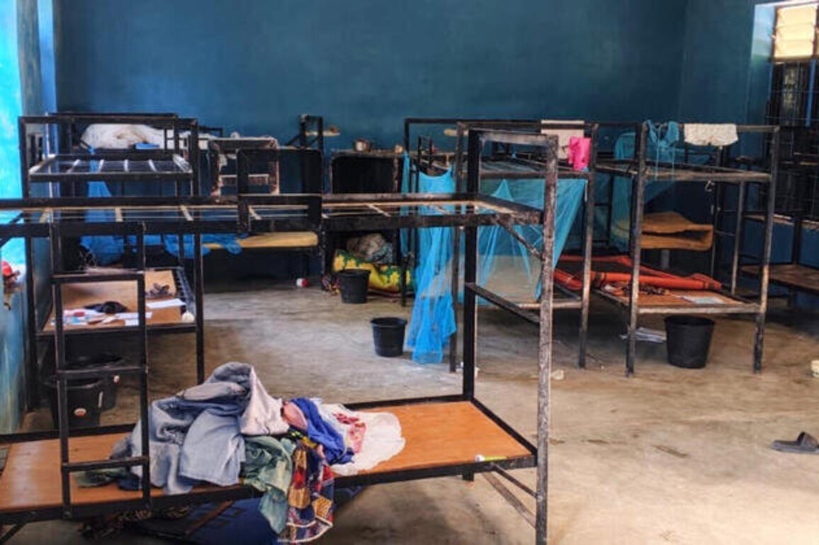 50 of Nigerias kidnapped Catholic schoolchildren escape their captors