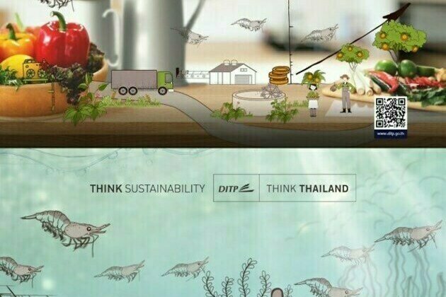 Thailand's Sustainable Journey Presents the Power of Small Shrimp