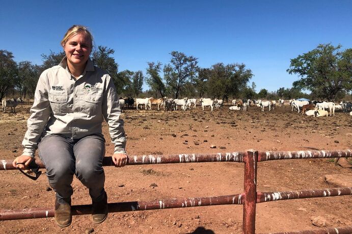 CDU researchers Beth Penrose and Sunil Kadri are exploring the impact of virtual fences on NT farms.